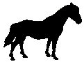#3065MA&nbsp;Mustang Mare 1976
