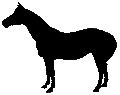 #3045MA&nbsp;Quarter Horse Mare 1974