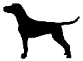 #1516 Dalmatian 2000
