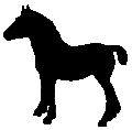 #84 Clydesdale&nbsp;Foal 1969
