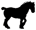 #80 Clydesdale&nbsp;Stallion 1958