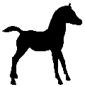 #9 Family Arabian Foal 1961