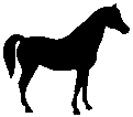 #8 Family Arabian Mare 1961