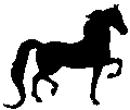 #479 Rejoice&nbsp;(National Show Horse) 1998