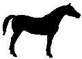#155 Pony of the Americas 1976