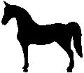 #57 Western Horse 1950