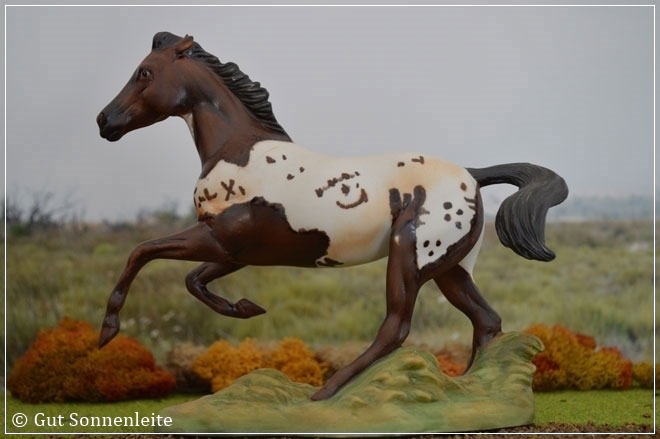 Appaloosa von Franklin Mint