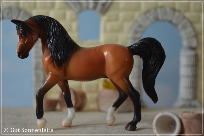 #5906 Arabian Walking ohne Horn 2006 - 2009