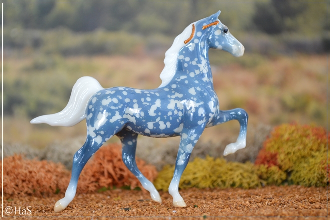 Saddlebred SR&nbsp;2004 - Glossy Coppenhagen